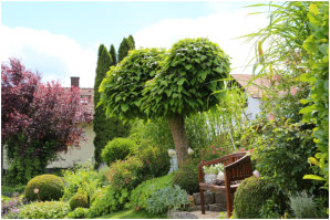 Vorgarten mit Fiesenwall, Trompetenbaum